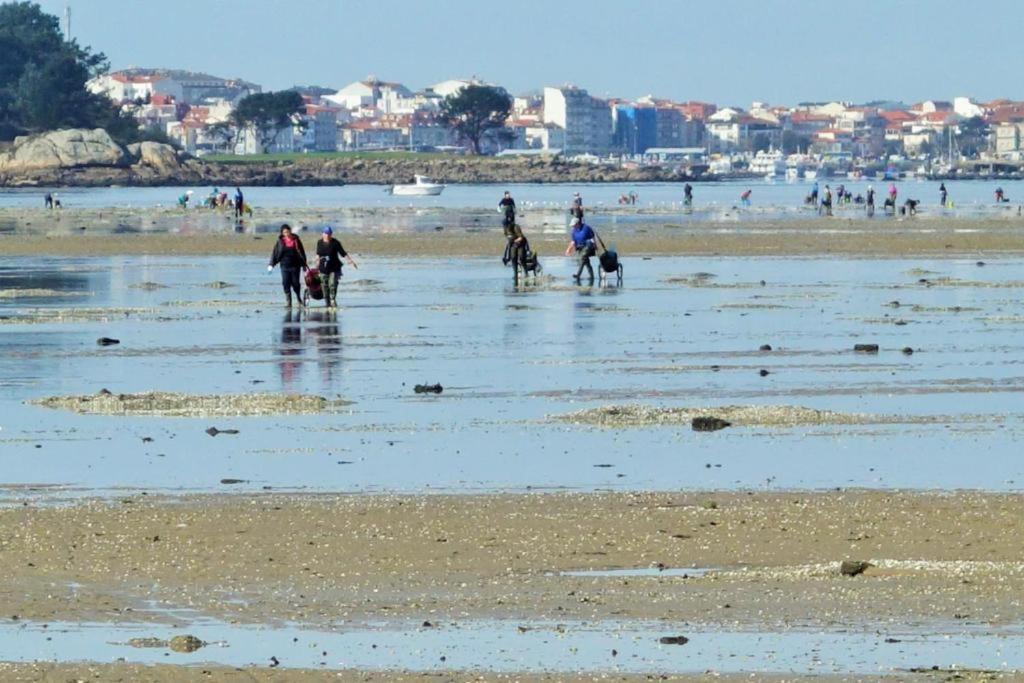 As Rosas Apartamentos Turisticos Cambados Eksteriør billede